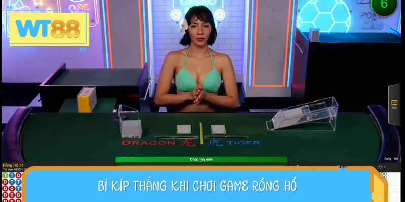 Bí kíp thắng đậm Dragon Tiger vô cùng hiệu quả