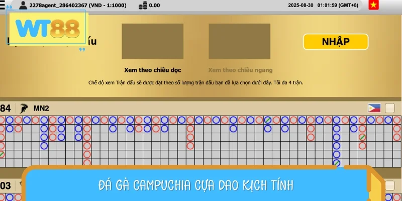 Đá gà cựa dao kịch tính từng giây từng phút