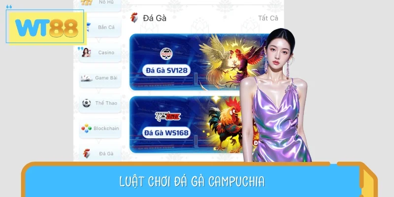 Hình thức đá gà Campuchia chia thành 3 hạng cân