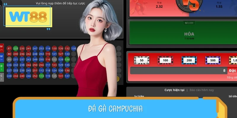 Đá Gà Campuchia - Luật Chơi Và Các Hình Thức Thi Đấu