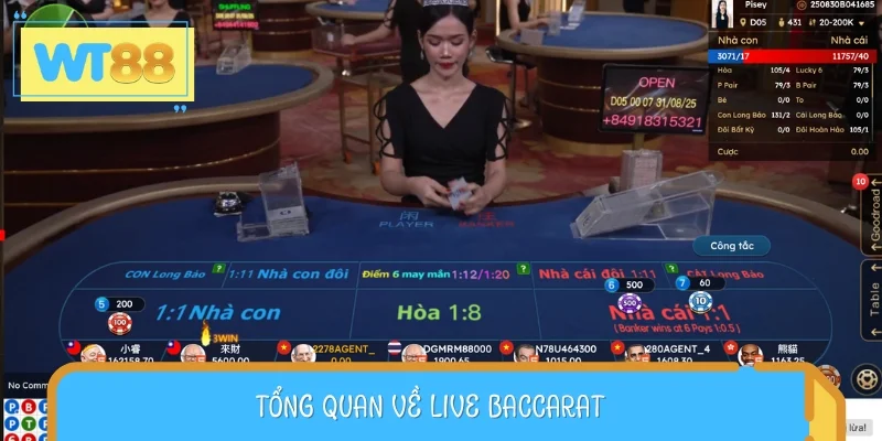 Live Baccarat hiện đang nổi tiếng tại chuyên mục casino