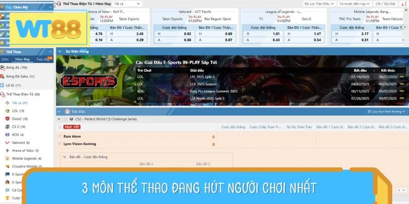 3 môn thể thao đang hút người chơi nhất