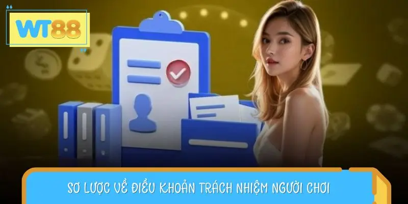 Sơ lược về điều khoản trách nhiệm người chơi